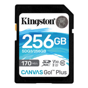 Kingston Canvas Go!Plus SD 記憶卡 (256GB) 記憶卡 / 儲存裝置
