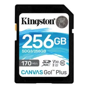 Kingston Canvas Go!Plus SD 記憶卡 (256GB) SD 卡