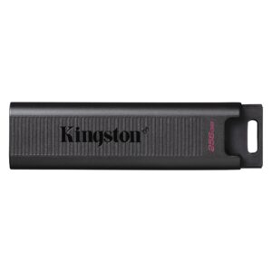 Kingston DataTraveler Max USB 3.2 Gen 2 隨身碟 (256GB) 儲存裝置