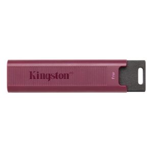 Kingston DataTraveler Max USB 3.2 Gen 2系列 USB 隨身碟 (1TB/適用於USB-A連接器) USB手指
