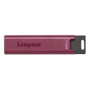 Kingston DataTraveler Max USB 3.2 Gen 2系列 USB 隨身碟 (256GB/適用於USB-A連接器) USB手指