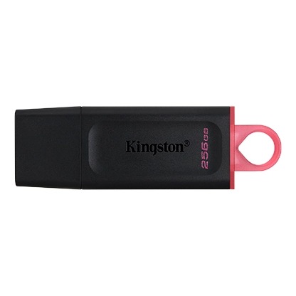 Kingston DataTraveler Exodia USB 隨身碟 (256GB) USB手指