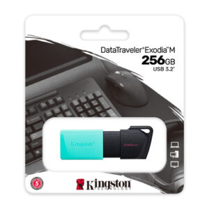 Kingston DataTraveler Exodia M USB 隨身碟 (256GB) USB手指